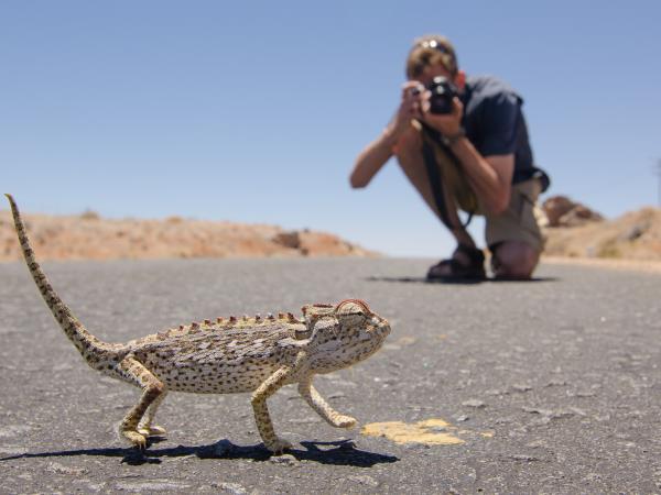 Namibia photography holiday