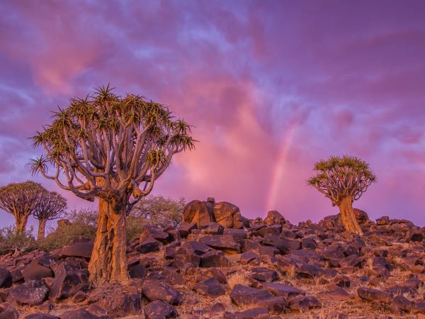 Namibia photography holiday