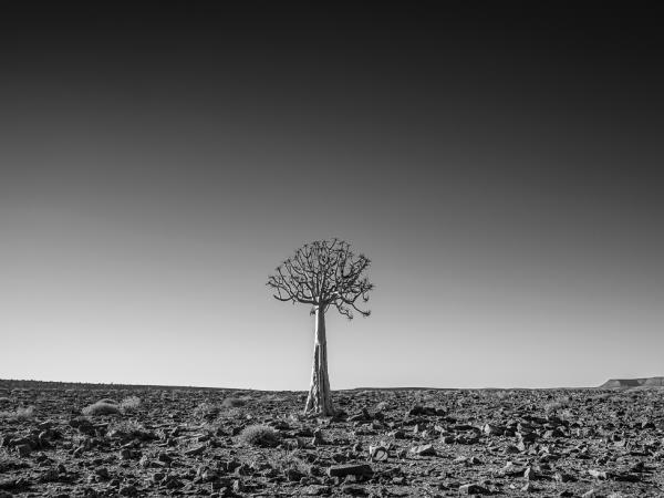 Namibia photography holiday