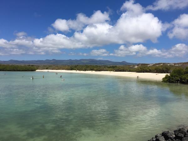 Classic Galapagos Island hopping