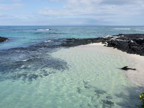 Ecuador adventure tour, 16 days