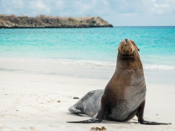 Ecuador adventure tour, 16 days