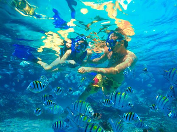 Budget Ecuador and Galapagos holiday, 23 days