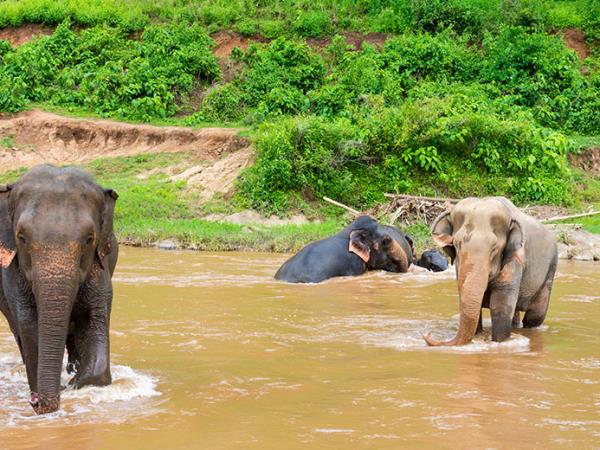 Thailand family holiday, tailor made