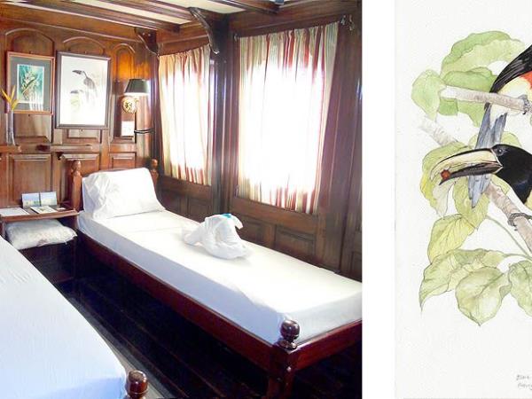 Amazon River Cruise, 7 days