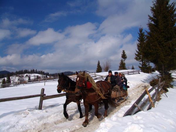 Carpathian Mountains snowshoeing holiday, Romania
