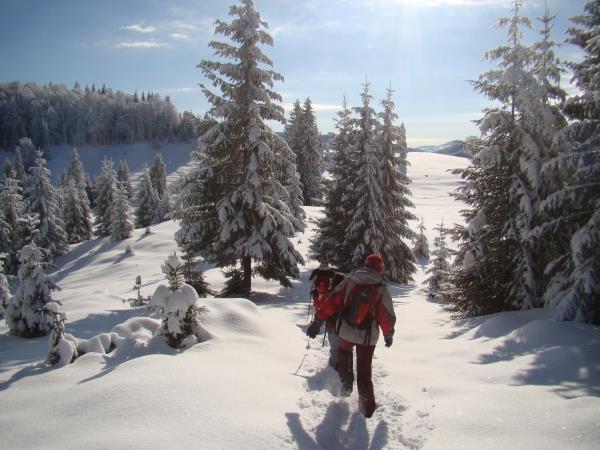 Carpathian Mountains snowshoeing holiday, Romania