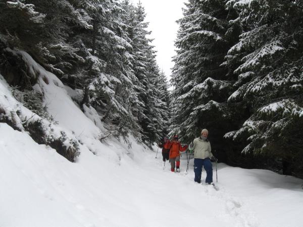 Carpathian Mountains snowshoeing holiday, Romania