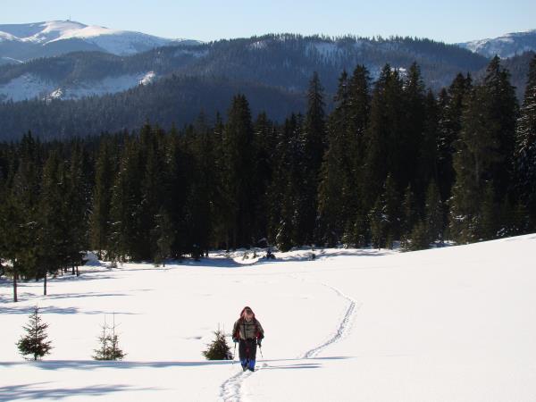 Carpathian Mountains snowshoeing holiday, Romania