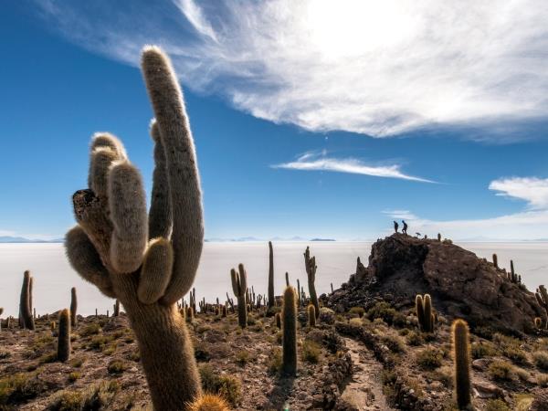Bolivia 13 day itinerary