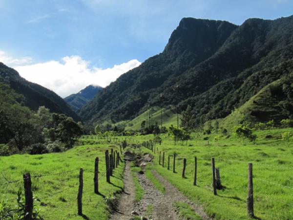 Trekking in Colombia