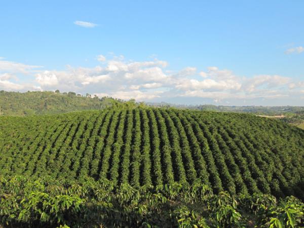 Trekking in Colombia