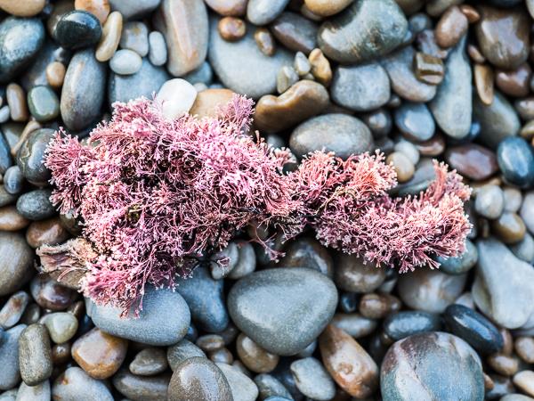 Northern Spain photography holiday, wild seascapes