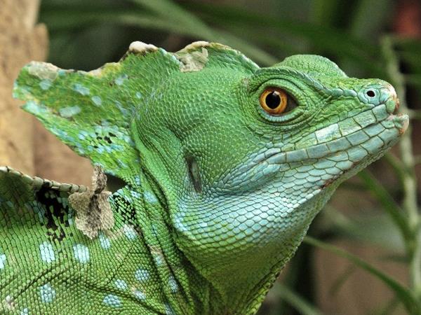 Costa Rica small group adventure holiday