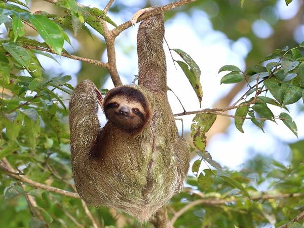 Costa Rica small group adventure holiday