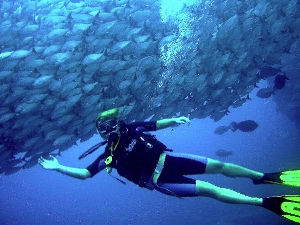 Scuba diving in the Coco Islands, Costa Rica