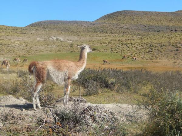 Patagonia adventure tour