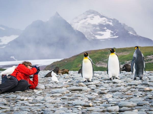 responsible travel falklands