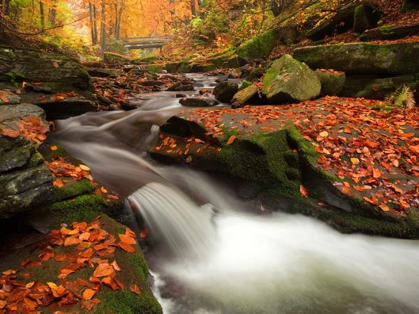 Bulgaria self-guided walking and spa holiday
