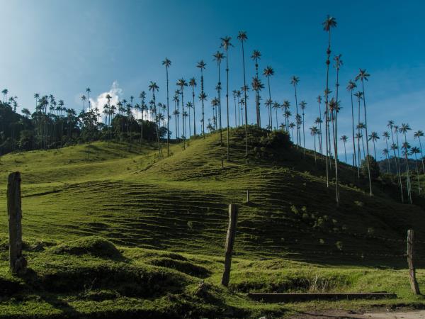 Uncovering Colombia, tailor made tours
