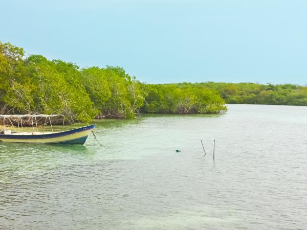 Uncovering Colombia, tailor made tours