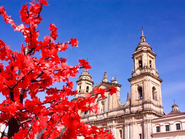 Uncovering Colombia, tailor made tours