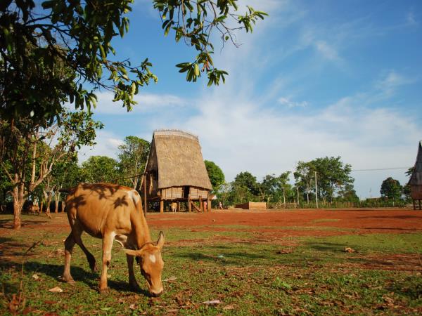 Vietnam discovery tour