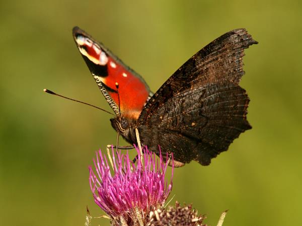 Bulgaria mountains hiking and culture holiday
