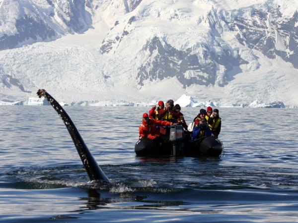 Antarctica expedition cruise, 11 days