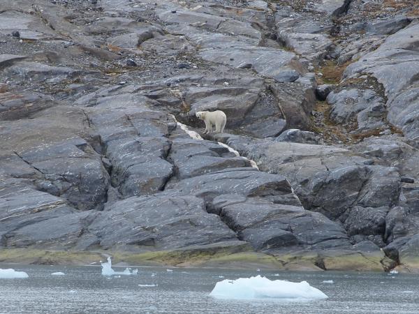 Spitsbergen activity holiday