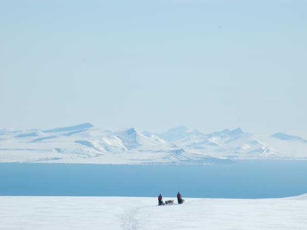 Spitsbergen mushing expedition