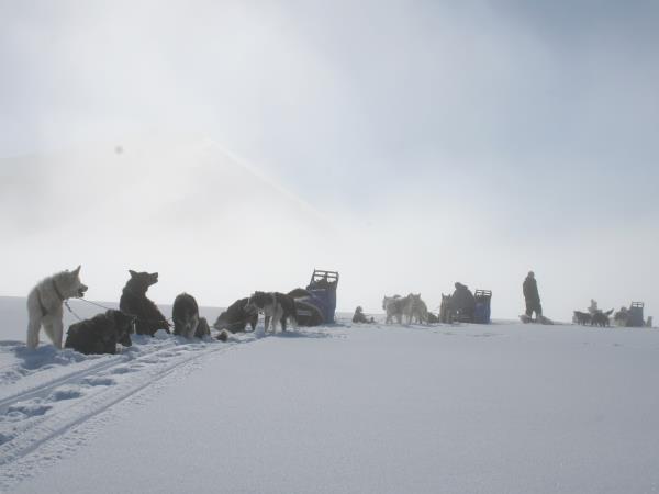 Spitsbergen mushing expedition