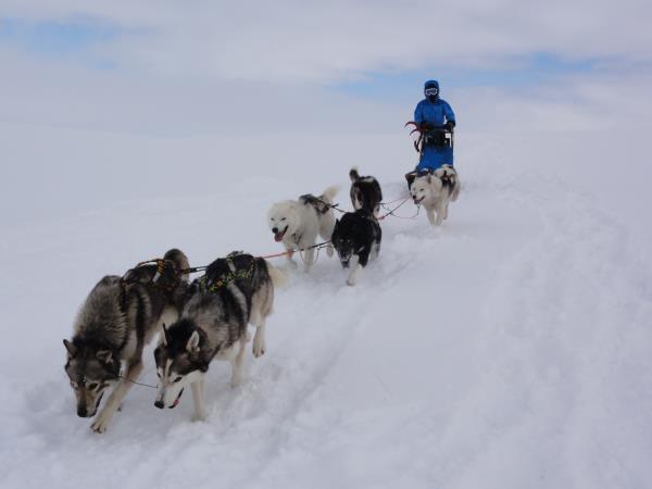 Spitsbergen mushing expedition