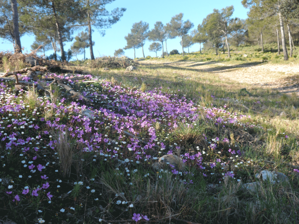 Walking holiday in Spain, Marina Alta