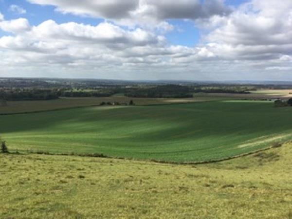 Pilgrims Way Rochester to Canterbury self guided walking tour