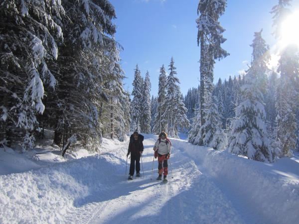 Romania ski touring holiday