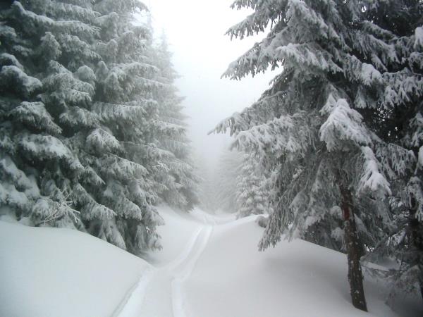 Romania ski touring holiday