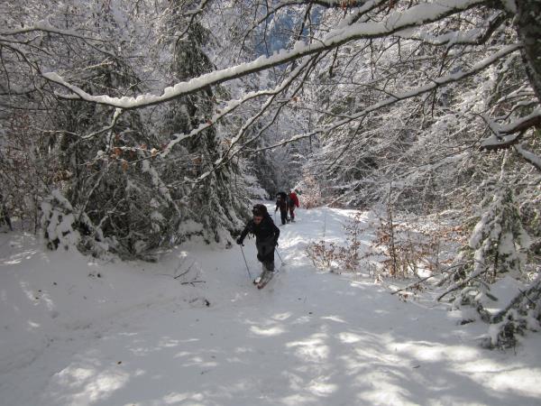 Romania ski touring holiday