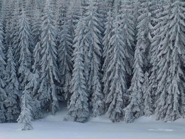 Romania ski touring holiday