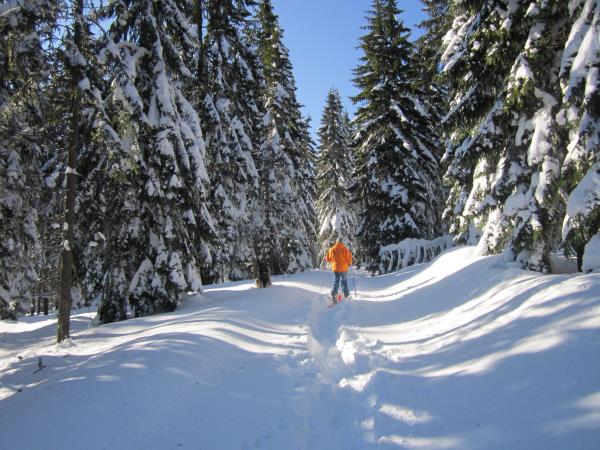 Romania ski touring holiday