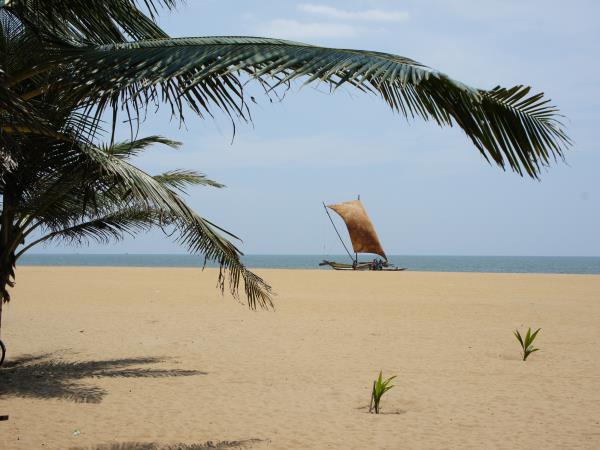 Sri Lanka highlights holiday