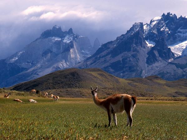 Patagonia holiday, Argentina and Chile