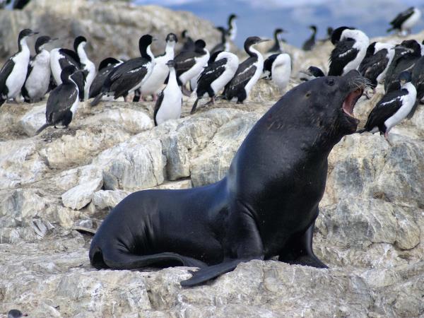 Tailor made holiday in Argentina, best of Argentina