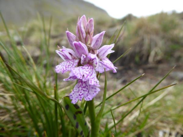 Scotland self guided walking holiday