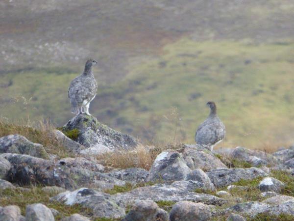 Scotland self guided walking holiday