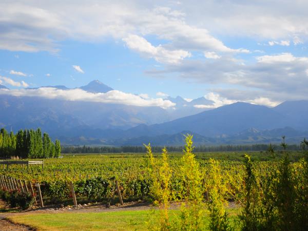 Tailor made holiday to Northern Argentina