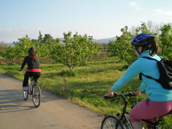 Greece cycling holiday, archaeology tour