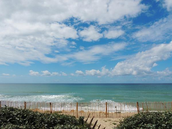 Bordeaux wine tour and Bay of Arcachon holiday