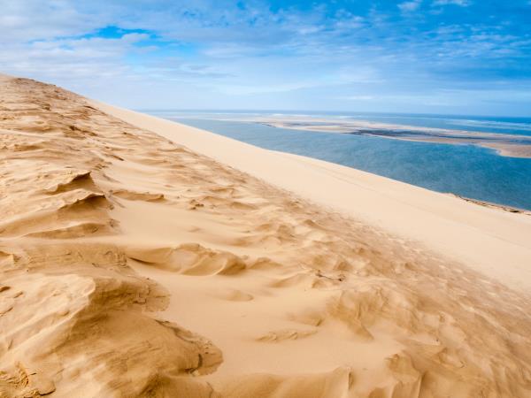 Bordeaux wine tour and Bay of Arcachon holiday