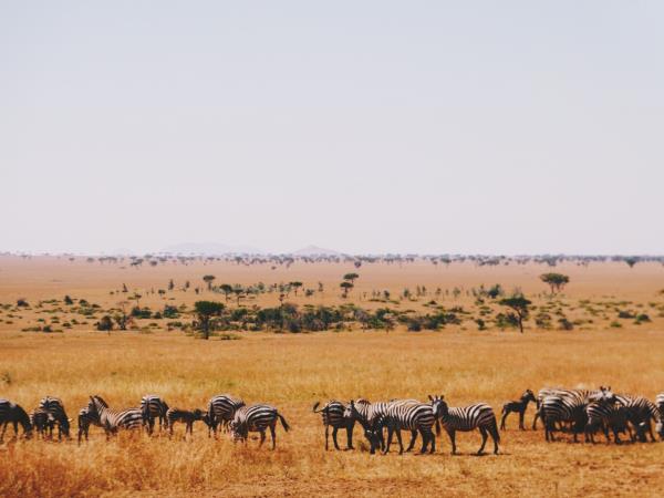 Tanzania volunteering projects